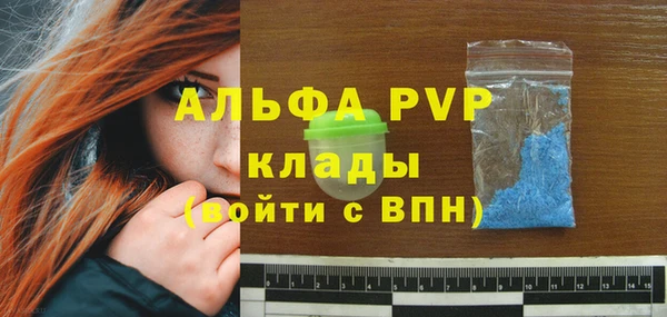 винт Богданович
