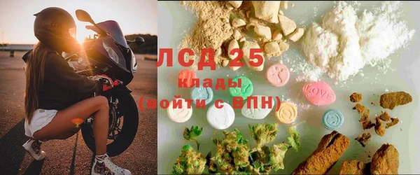 винт Богданович