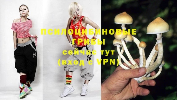 сатива Богородск