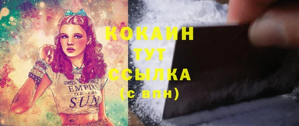 винт Богданович
