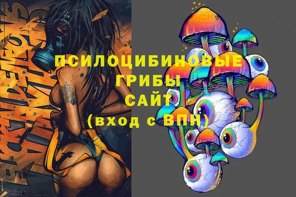 PSILOCYBIN Богородицк
