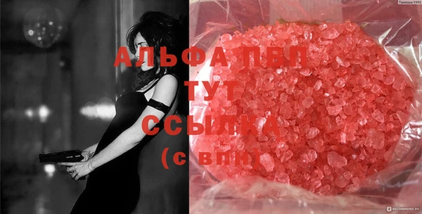 PSILOCYBIN Богородицк