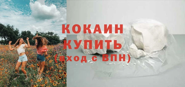 PSILOCYBIN Богородицк