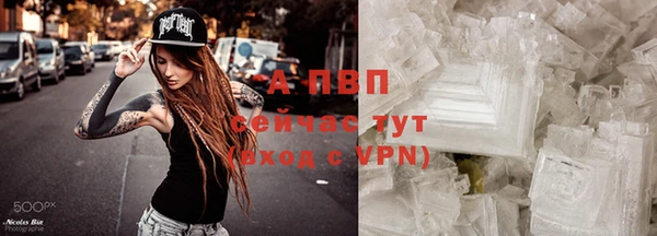 винт Богданович