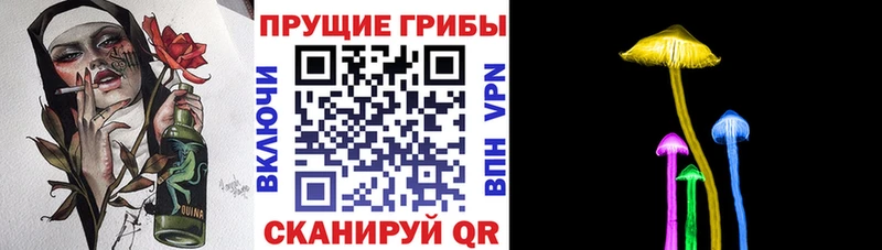 площадка Telegram  Полтавская  Псилоцибиновые грибы Psilocybine cubensis 